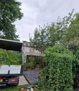 Tree Crown Lifting